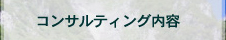 コンサルティング内容