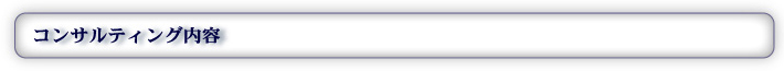 コンサルティング内容